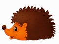 Hedgehog Royalty Free Stock Photo
