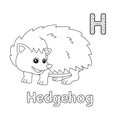 Hedgehog Alphabet ABC Coloring Page H