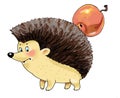 Hedgehog Apple funny cartoon figure Royalty Free Stock Photo