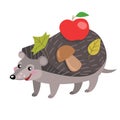 A hedgehog with apples Royalty Free Stock Photo