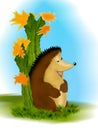 The hedgehog and the cactus plant