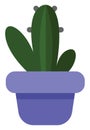 Hedgehog cactus in a purple pot, icon icon