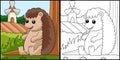 Hedgehog Coloring Page Colored Illustration