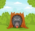 Hedgehog Cub in Stump Hollow in the Forest Vector Illustration