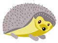 Hedgehog in gray and yellow colors looking for something delicious Royalty Free Stock Photo
