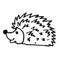 Hedgehog hand drawn vector doodle illustration. Cartoon cute hedgehog. Isolated on white background. Hand drawn simple Royalty Free Stock Photo