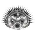 Hedgehog Head Logo. Vector decorative Emblem.