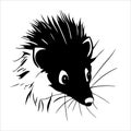 Hedgehog head sketch closeup. Good for tattoo. Editable vector monochrome image with high details isolated on white
