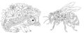 Hedgehog and honey bee coloring pages Royalty Free Stock Photo