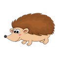 Hedgehog illustration isolated on white. Cartoon happy mammal graphic for kids. Autumnal funny young pet with sharp spikes.
