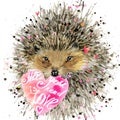 Hedgehog illustration with valentines heart,