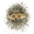 Hedgehog isolated on white watercolor illustration