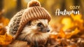 Hedgehog with knitted hat on blurred autumn landscape background with inscription Cozy Autumn