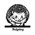 Hedgehog. Line art. Black and white vector illustration. Royalty Free Stock Photo