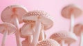 Hedgehog mushroom hydnum repandum on soft pastel colored background for vibrant contrast