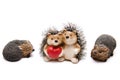 Hedgehog pair with dear heart