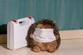 Hedgehog plush toy in a medical mask