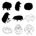 Hedgehog set vector