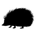 Hedgehog Silhouette Vector Illustration on White Background Royalty Free Stock Photo