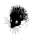 Hedgehog sketch closeup. Good for tattoo. Editable vector monochrome image with high details isolated on white
