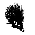 Hedgehog sketch closeup. Good for tattoo. Editable vector monochrome image with high details isolated on white
