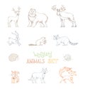 Vector outlined set of wild woodland animals.