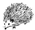 Hedgehog spontaneous sketch Royalty Free Stock Photo