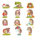Hedgehog vector cartoon prickly animal character child with cake or umbrella in nature wildlife illustration set of