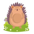 hedgehog wildlife cartoon