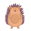 hedgehog wildlife cartoon