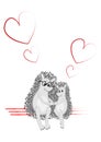 Hedgehogs in love on the first date. First love