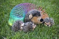 4 hedgehogs are playing with the slinky on the lawn