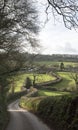 Hedgerow along a country lane in Devon England UK