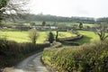 Hedgerow along a country lane in Devon England UK Royalty Free Stock Photo