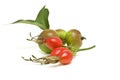 Hedgerow Fruit Royalty Free Stock Photo