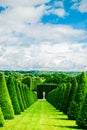 Hedges lines and lawn, Versailles Chateau, France