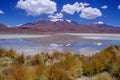 Hedionda lagoon on Santa de Ayes National Park in Bolivi