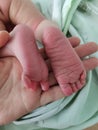 Heel feet in a newborn baby in hand