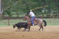 The Heeler at the Roping