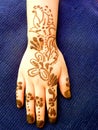 Heena Mehdi Design Royalty Free Stock Photo