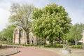 Heenvliet church and tree Royalty Free Stock Photo