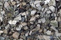 Heep of Expanded Vermiculite. Background. Various factions Royalty Free Stock Photo