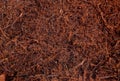 Heep of Fern root Compost substrate. Background. Royalty Free Stock Photo