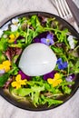 ÃÂ¡heese collection, one big ball on soft white italian mozzarella bufala cheese with green rocket salad leaves and viola Royalty Free Stock Photo