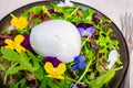 ÃÂ¡heese collection, one big ball on soft white italian mozzarella bufala cheese with green rocket salad leaves and viola Royalty Free Stock Photo