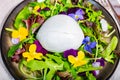 n, one big ball on soft white italian mozzarella bufala campania cheese with green rocket salad leaves and viola Royalty Free Stock Photo