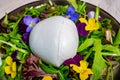 tion, one big ball on soft white italian mozzarella bufala campania cheese with green rocket salad leaves and viola Royalty Free Stock Photo