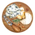 ÃÂ¡heese with white mold and dor blu on a round wooden board. Watercolor illustration
