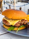 Heeseburger macro with beautiful background and selective focus Royalty Free Stock Photo