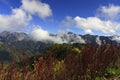 Hehuan Mountain,Taiwan Royalty Free Stock Photo